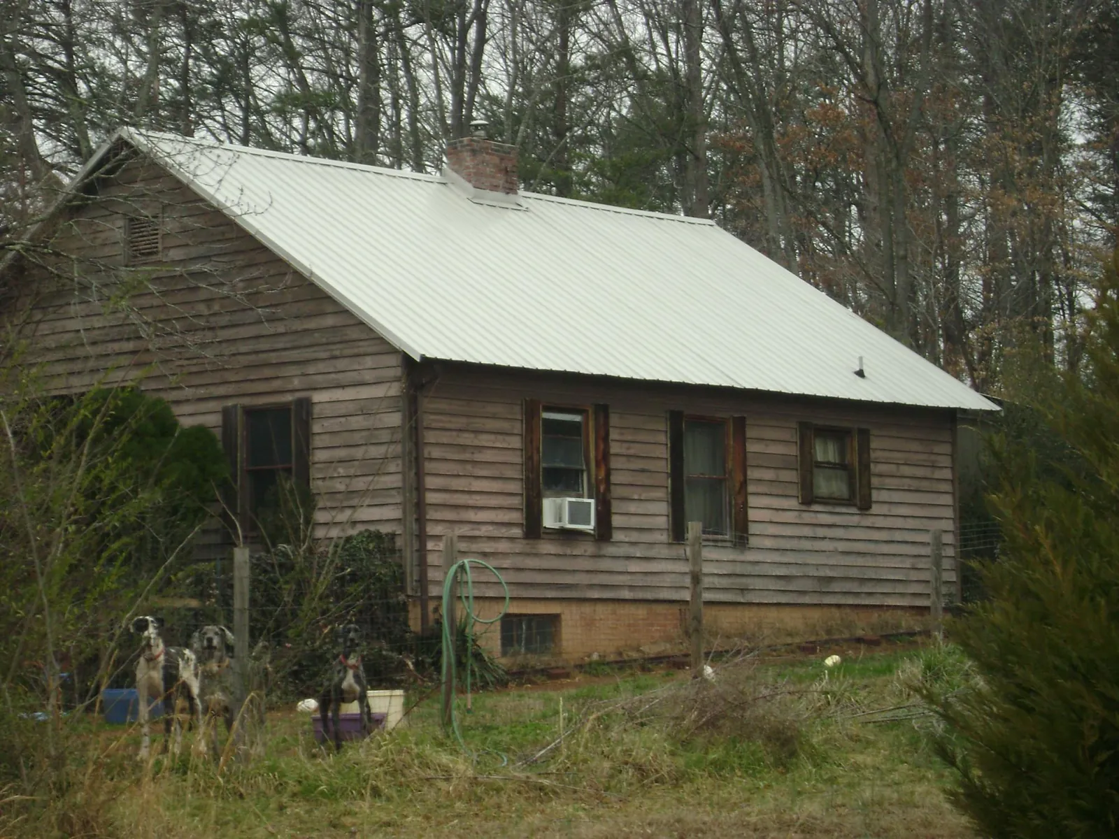 White metal roof on an old wood sided farmhouse, from a Asphalt Shingle Roof Repair job in Potrero